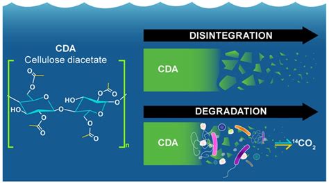 海洋中で酢酸セルロースはどう分解するか？ | Nature3D