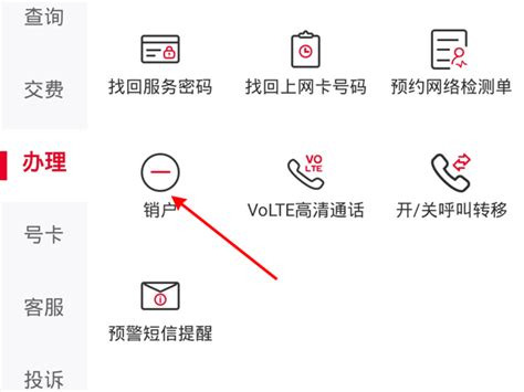 在手机APP联通副卡怎么注销（联通副卡线上注销流程汇总） – 碳资讯