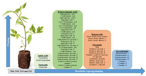 Metabolic Profiling of PGPR-Treated Tomato Plants Reveal Priming ...