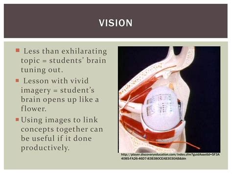 Image result for Vision Learning