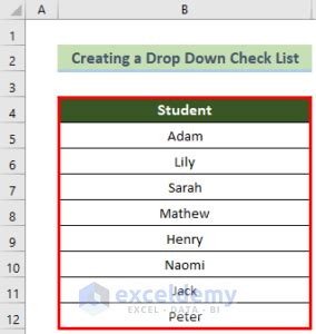 Image result for Excel Add Drop Down Checklist