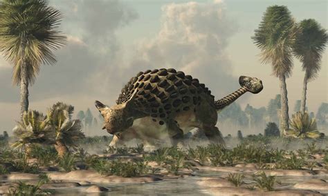 Meet the Ankylosaurus - The Dinosaur with a Club Tail - A-Z Animals
