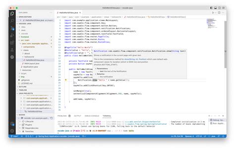 Maven with Java vs Code 的图像结果