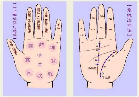 如何看手相算命图解 - 每日头条