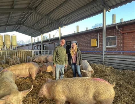 Neuer Sauenstall und Auslauf: Eine Familie setzt auf Ferkelerzeugung ...