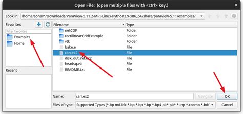 Image result for ParaView Animation Examples