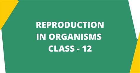Image result for Animal Reproduction Grade 12
