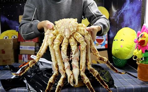 试吃599元一只的帝王蟹，一只五斤重的螃蟹，家里的锅都放不下_哔哩哔哩_bilibili