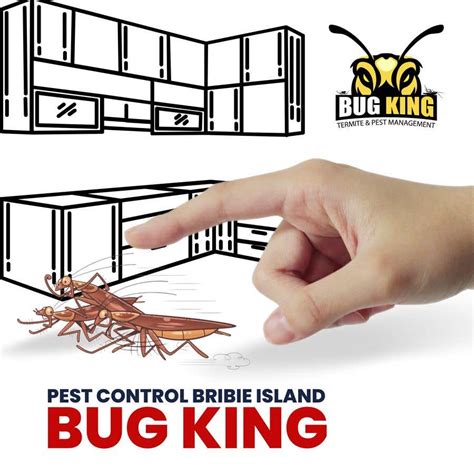 Advertising picture - 27/12/2023 01:58 EST | Freelancer