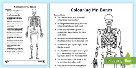 Colouring Mr. Bones Worksheet / Worksheet (teacher made)