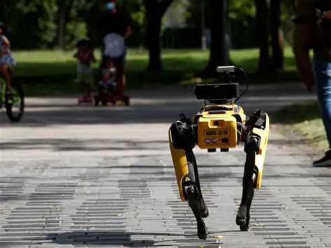 Constant vigil - Robot dog on virus park patrol in Singapore | The ...