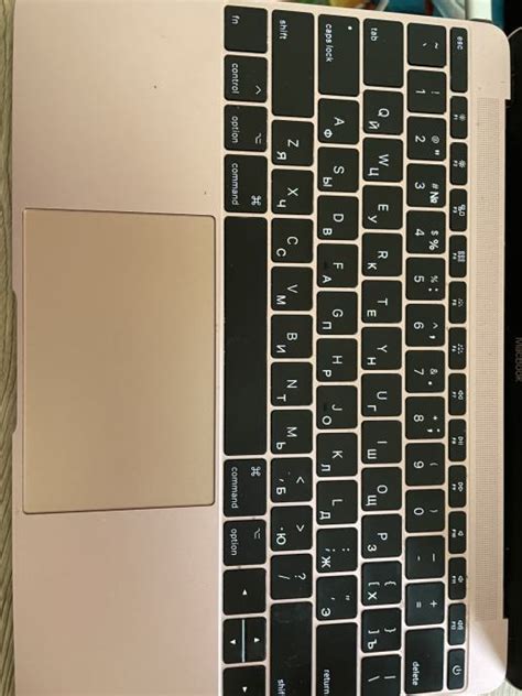 MacBook 12 的图像结果