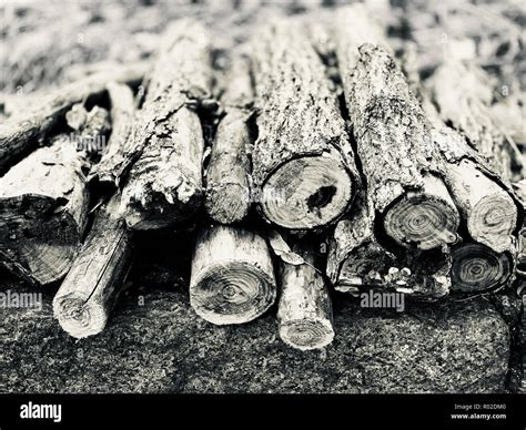 Image result for Logging Springboard Notch