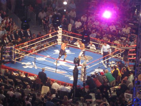 Video 2004 Boxing Match 的图像结果