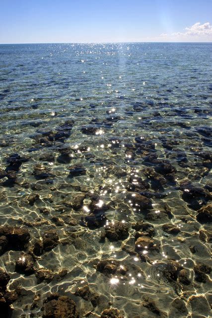 The Journey | The Sri Chinmoy Oneness-Home Peace Run