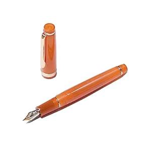 SCHMIDT Jinhao 82 Acrylic Fountain Pen, Iridium Fine Nib with Ink ...