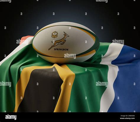Image result for Springbok Rugby Ball