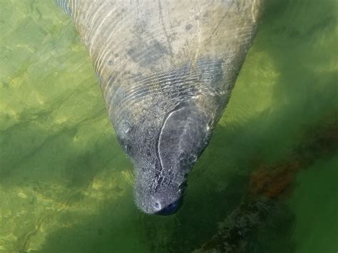 KAYAK ADVENTURES KEY WEST (2026) All You Need to Know BEFORE You Go ...