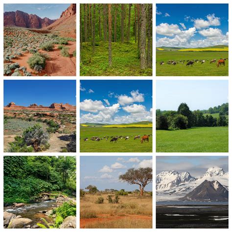 Temperate Grasslands Biome Location