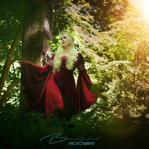 Image result for The Elven Bride Review