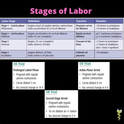 Medgeeks on Instagram: "Stages of labor - from cervical effacement to ...