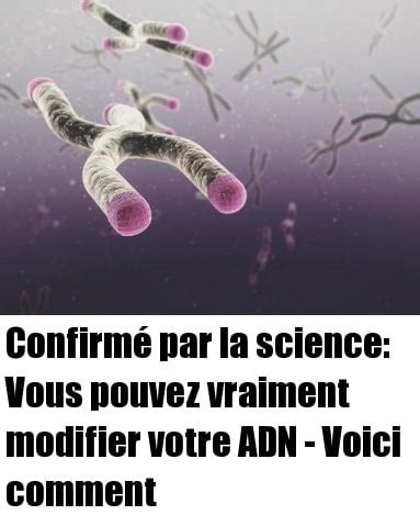 Comment Reprogrammer ADN 的图像结果