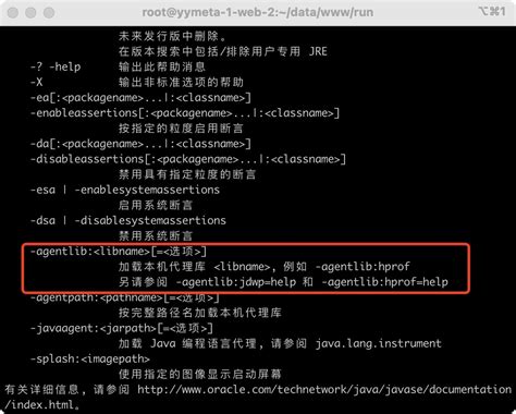 Direct Route jitDebugging 的图像结果