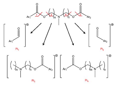 Image result for Fragmentation Pathways