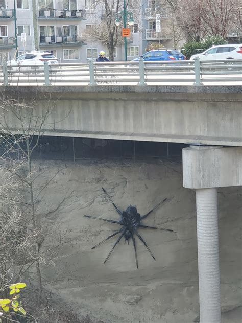 Giant spider sculpture under Vancouver bridge to remain in place for ...