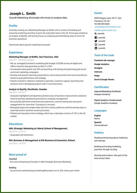 Image result for Simple Resume Examples