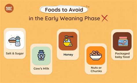 Top 7 First Foods for Babies (That Build Gut & Brain Health) – ROOT and ...