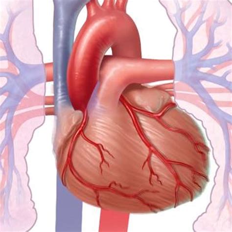 What is the management of tachycardia?