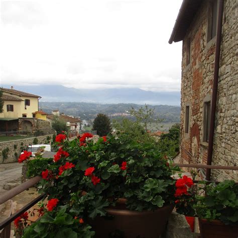 CASA PETRARCA (2025) All You Need to Know BEFORE You Go (with Photos ...