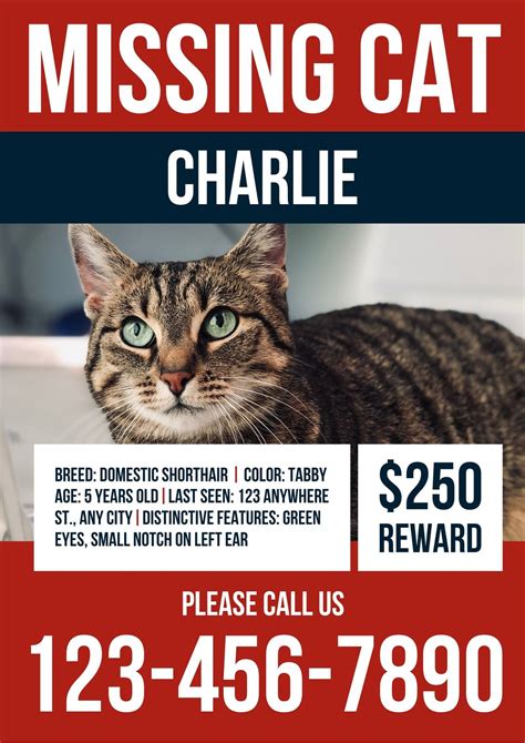 Page 11 - Free printable, customizable lost dog poster templates | Canva