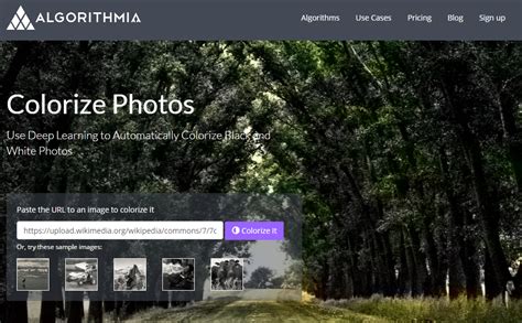 Image result for Colorization Demos