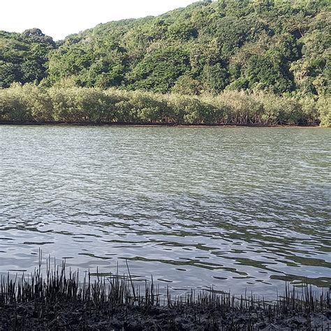 NQABARA ECO RIVER LODGE (Willowvale) - Cottage Reviews & Photos ...