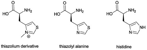 An Overview on the N-Heterocyclic Carbene-Catalyzed Aza-Benzoin ...