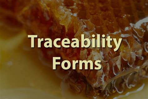 Image result for Traceability Form