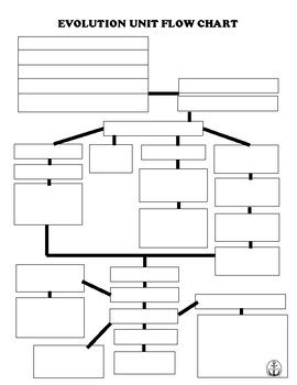 Evolution Process Flow Chart 的图像结果