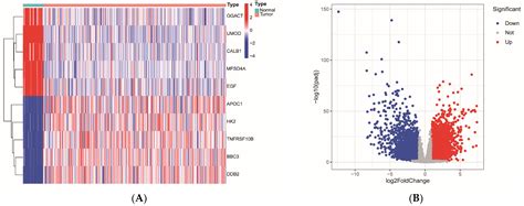 Molecular Mechanisms of Aspartame-Induced Kidney Renal Papillary Cell ...