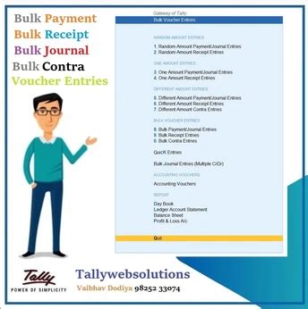 TDL Source Code of (12 All in one) Bulk Voucher Entry Module Best Addon ...