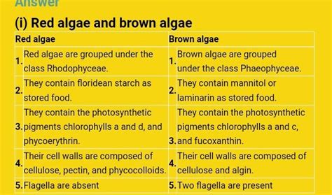 Difference between red algae and brown algae in tabel form - Brainly.in
