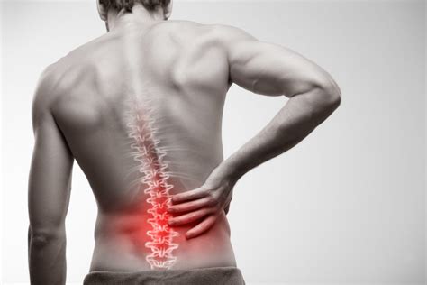 Lower Back Muscle Spasm 的图像结果