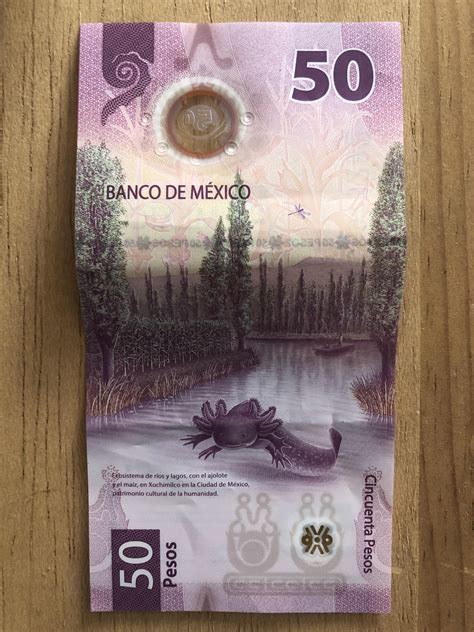 Mexican fifty pesos bill : axolotls