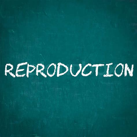 Image result for Reproduction Stock Images