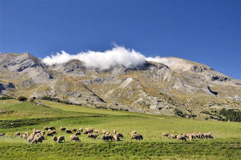 Types Tradewinds 的图像结果