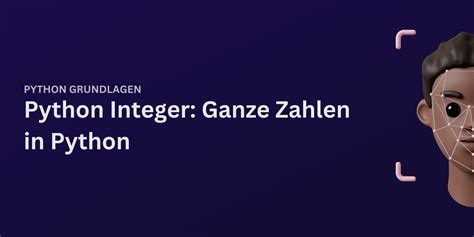 Python Integer Programming 的图像结果