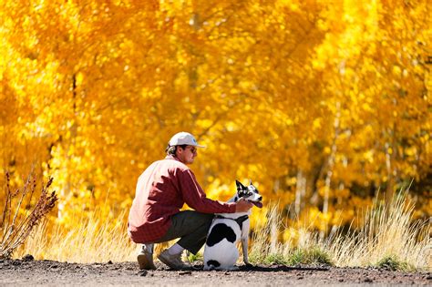 AT&T class action settlement: How to apply for payment