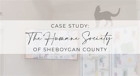 Humane Society Of Sheboygan County - Distinctive Design Studio