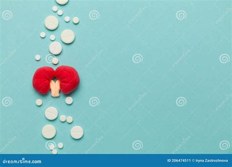 Kidneys of Human on Blue Background. Pain in the Genitourinary System, Treatment of Kidney ...